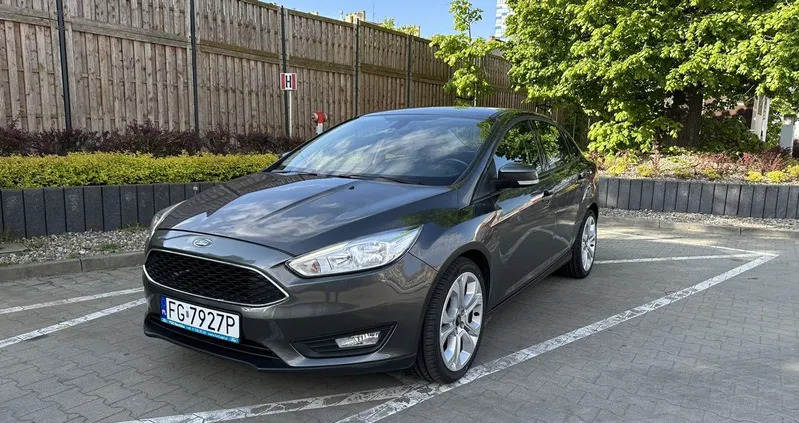 ford focus lubuskie Ford Focus cena 35000 przebieg: 104000, rok produkcji 2018 z Gołdap